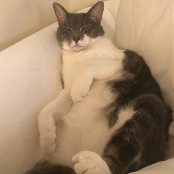 Meet your Posher, Megan - Picture 4 of 10